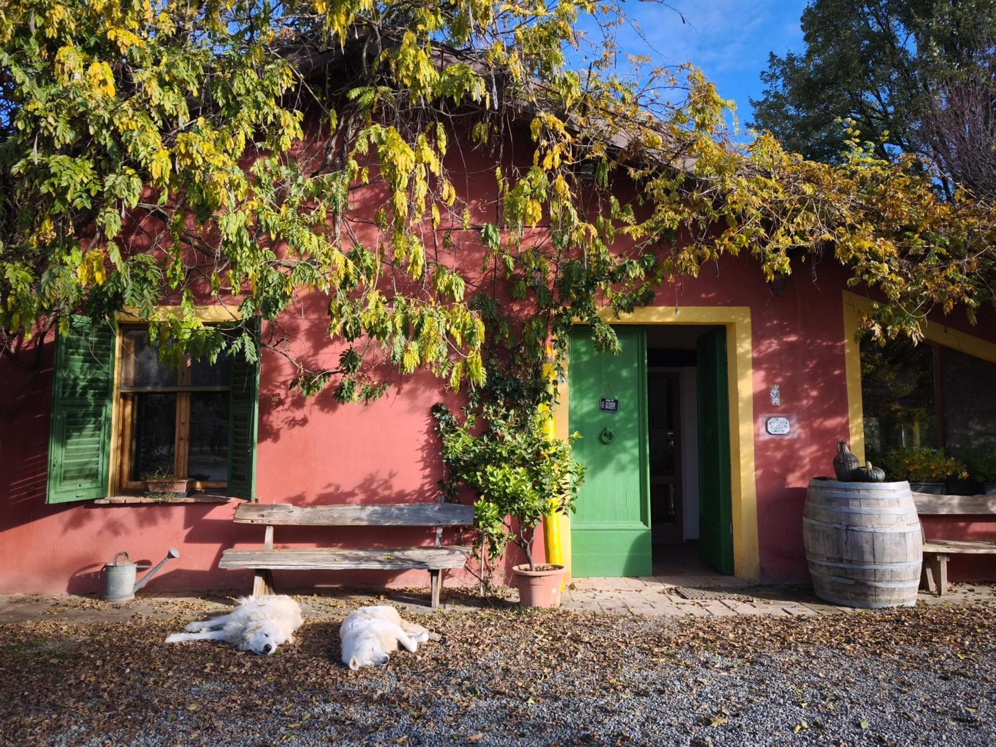 Agriturismo Cascina Degli Ulivi Novi Ligure Dış mekan fotoğraf