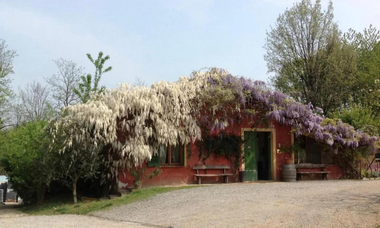 Agriturismo Cascina Degli Ulivi Novi Ligure Dış mekan fotoğraf